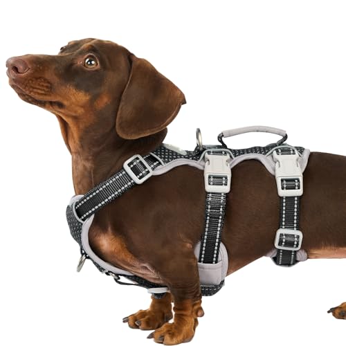 Escape Proof Dog Harness, Secure Dog Harness No Escape, Fully Reflective Harness with Handle, Breathable, Durable, Adjustable Vest for Small Dogs Walking, Training, and Running Gear (Black,S)