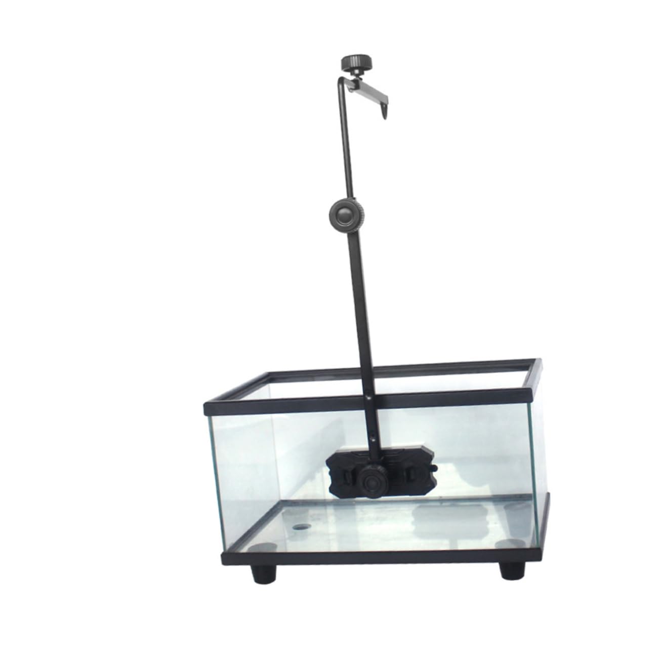 Toyvian per Rettili e Tartarughe Resistente per Decorazioni e Lampade Riscaldamento Accessorio per Serbatoi e Rettili