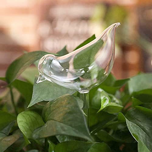 HXSCOO 1pcs Automatic Flower Watering Device Plant Waterer Self Watering Globes Bird Shape Hand Blown ClearPlastic Aqua Bulbs