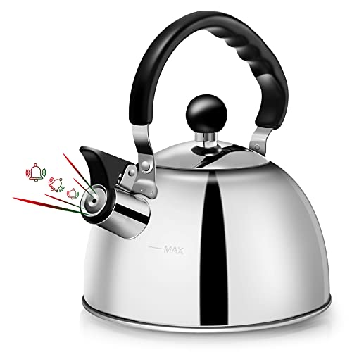 Top 10 Best Teapot For Boiling Water Reviews & Buying Guide Katynel
