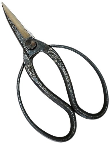 �@�ƏG�v ��v�ېA�؉���