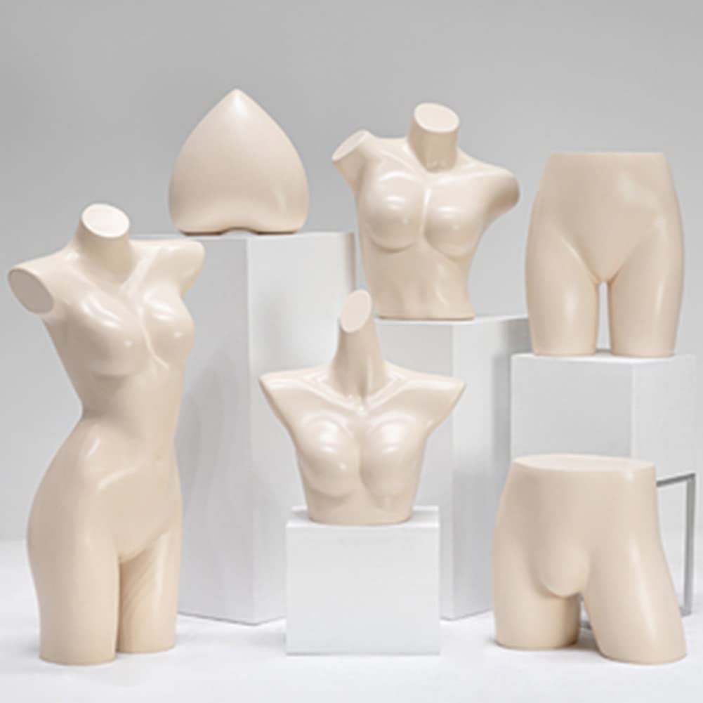 Dntum Mannequin FemaleLingerie Display Stand Female Chest Display Stand Retail Store Window Display Display Standan for Countertop Craft Shows Tabletop Clothing ?E