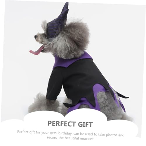 Disfraz de Bruja para Perro Beaupretty Talla S miniatura 5