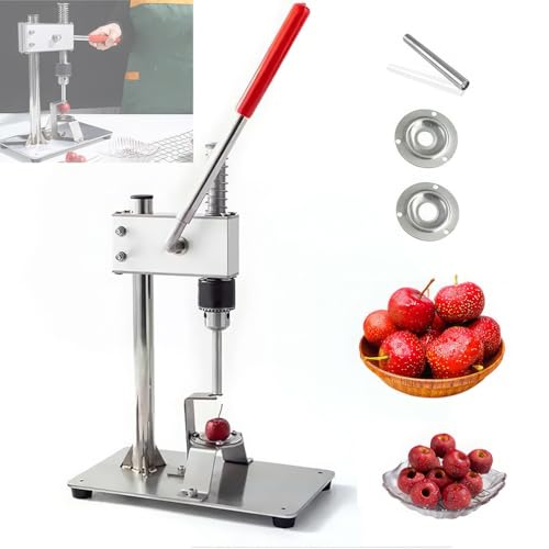 Vide-fruits en acier inoxydable idéal en cuisine pour préparer vos desserts sains en famille