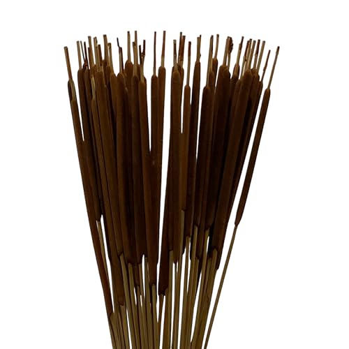 50 Stem Bundle of All-Natural Cattail Stems, Dried Decorative Drop-in Bouquet, 28” Tall Rustic, Farmhouse, and Holiday Décor, Long-Lasting Natural Arrangement (Cinnamon Brown)