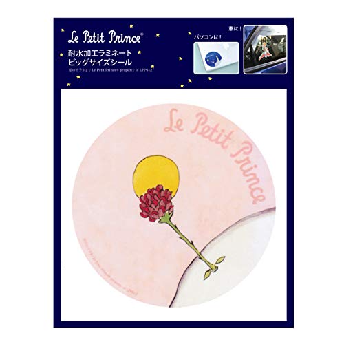 ԂX[cP[XɁAm[gp\RɁIȑfނ̃V[ŉOŎgp̂ɓ\ĂFȂIϐH~l[g rbOTCYV[-̉q (ỏ)