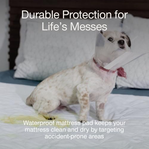 Image of Coop Home Goods Waterproof Four Layer Bed Underpad for Incontinence, King, Washable Mattress Pad, Reusable Waterproof Mattress Cover, Bed Pads for Adults, Seniors, Children, Pets, King (78x39.5)
