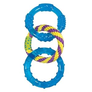 Petstages Orka Dental Links Dog Chew Toy