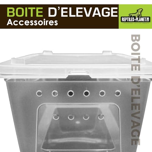 Reptile or Insect Breeding Box, 26 cm x 17.5 cm x 11.5 cm, White - Image 2