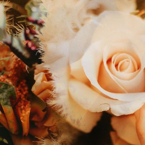 Petty Penn Stories cover art