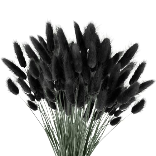 120 st torkad pampasgräs, torkade blommor pampasgräs växter fluffiga blommor, boho heminredning blomsterarrangemang (svart)