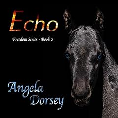 Echo Audiolibro Por Angela Dorsey arte de portada