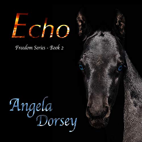 Echo by Angela Dorsey episode artwork