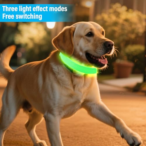 Beleuchtetes Hundehalsband: Reflektierendes Schnellverschluss- Halsband für ältere Haustiere zum Spazierengehen, Sicherheitszubehör, Haustierausrüstung mit LED- Licht, Halsband-4