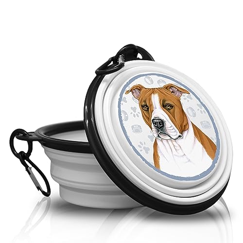 2. Amstaff – Ciotola pieghevole e portatile per cani con moschettone da viaggio, maneggevole, leggera e soprattutto unica.