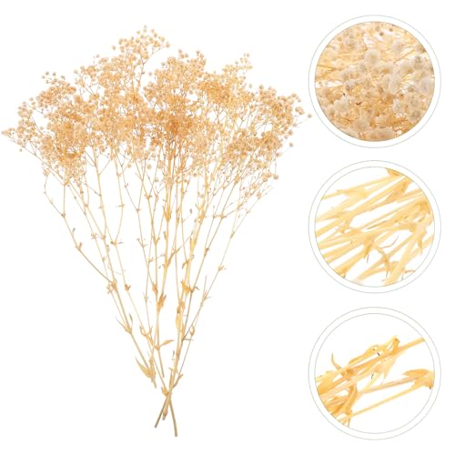 Ramo de Flores Secas Gypsophila Blanco 44Cm 40G miniatura 5