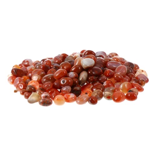 INOOMP 1 パック ジューシーな敷石 パーライト 白い庭の石 庭の岩 庭用の石 庭の小石造園 石の魚の水槽 装飾砂利 植物 石 砂利 転がった石 植物多肉植物石 小石石 装飾造園石 玉華石