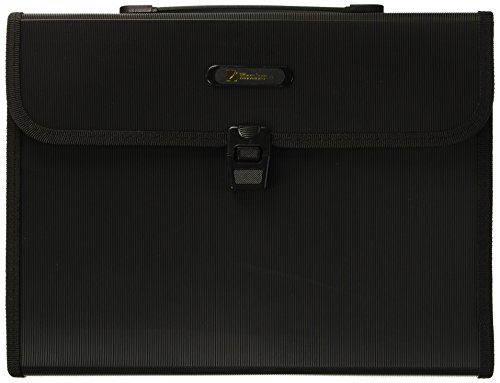 Wilson Jones Poly Expanding Brief File, 5.25 Expansion, 13 Pocket and Tabs, 12 x 10 Inches, Black (W91165A)