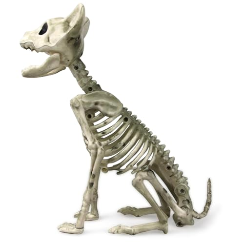 Joygoodta Esqueleto de plástico de Halloween, esqueleto de gato sentado assustador de 7, 9 polegadas de altura com mandíbula móvel para casa, jardim, pátio, decoração de casa assombrada