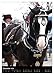 Shire Horse - Decorated Giants (Wall Calendar 2026 DIN A2 High), CALVENDO Monthly Calendar: Traditionally Decorated Shire Horse