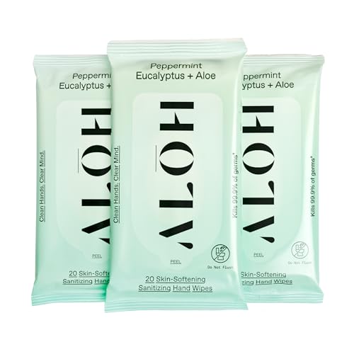 ALH Peppermint Eucalyptus + Aloe Sanitizing Hand Wipes - Clean Hands Clear Mind On The Go Sanitizer for Kids and Adults - Travel Size 3 Pack 20ct Wipes (60 Wipes)