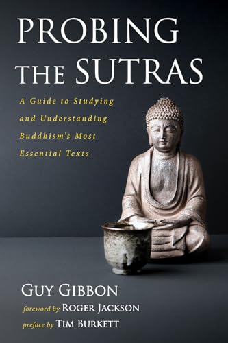Probing the Sutras view 2