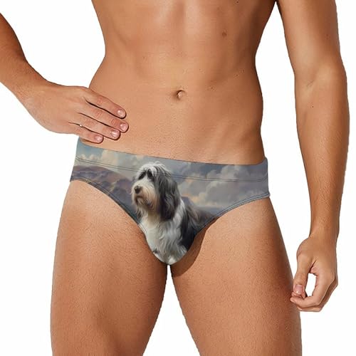 Bearded Collie Mens Swim Briefs Quick Dry Swim Trunk Bikini Underwear Swimsuit M