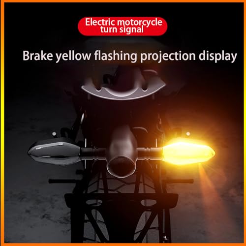 Feu stop motocyclette et clignotant de projection LED sol pour moto