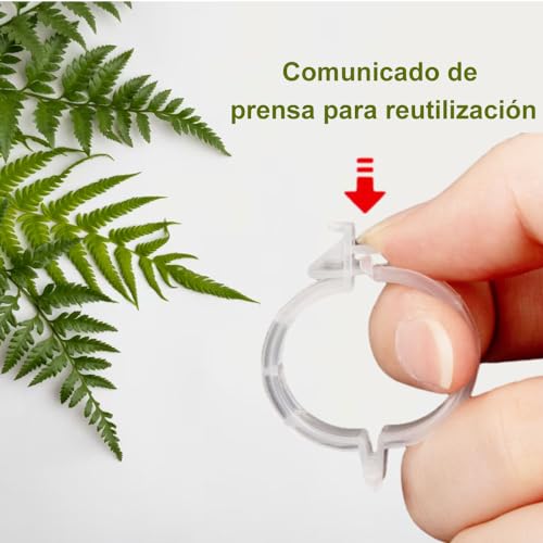 Consejos y comparativas para Comprar Toquillas comprados en linea. 8 Imagen adicional