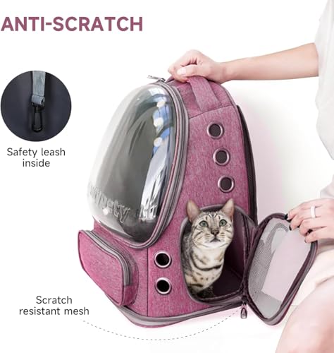 Image of Cawypety Cat Backpack Carrier, Breathable Cat Carrier Pet Backpack for Kitty Small Dog Up to 15Lbs, Transparent & Foldable Pet Carrier for Travel Hiking (Pink.)