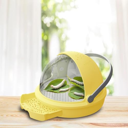 Boîte d'élevage à soie portable en polypropylène jaune pour observation - 8