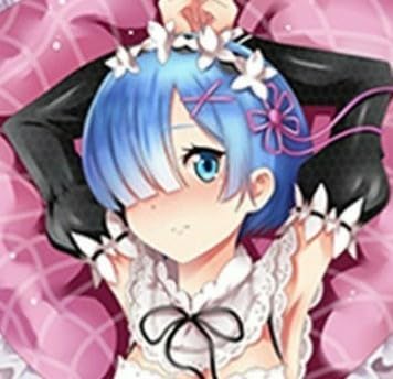 即決】 はたケット ハチゴ リゼロ レム ラム 抱き枕カバー あやみ Re 