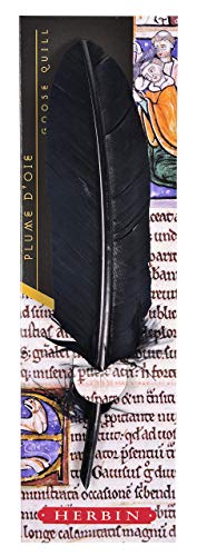 Herbin 23310ST - Une plume d'oie taillée 21 cm, Marine