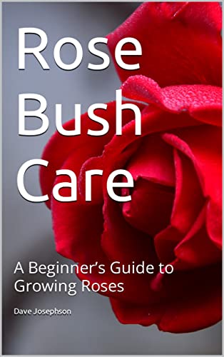 Rose Bush Care: A Beginner’s Guide to Growing Roses