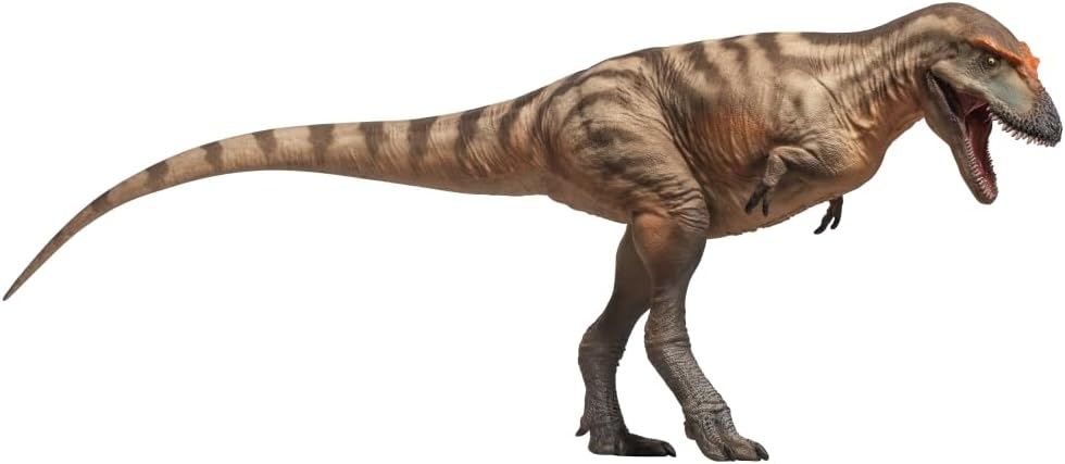 PNSO Prehistoric Dinosaur Model: (Tristan 71 Gorgosaurus)