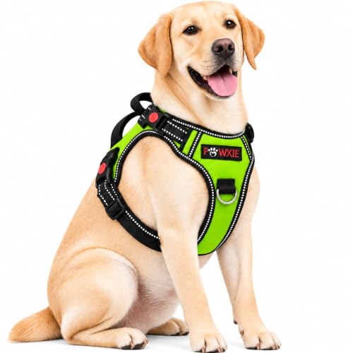 Image of No Pull Dog Chest Belt Harness, Comfortable & Adjustable Size for 35+ Kg Pet (Green, Extra-Large)