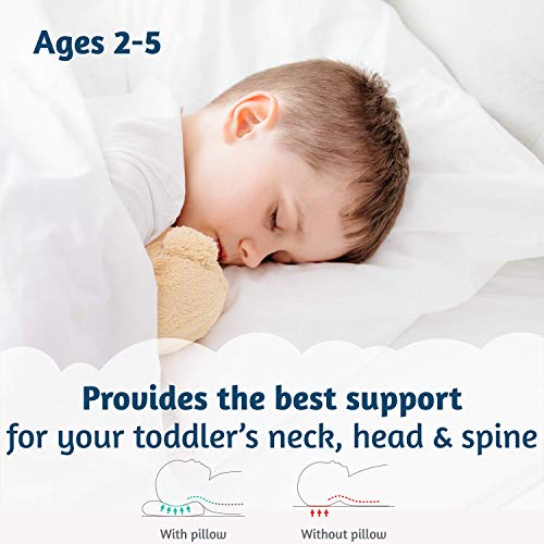 Image of Organic Toddler Pillow Made in the USA and Organic Cotton Pillowcase - 13x18 Soft Natural Cotton Toddler Pillow for Sleeping - Washable Baby Nap Pillow - Travel Pillow - Kids Sleeping Bedding