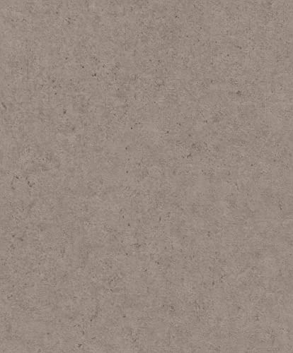 Rasch Tapeten Vliestapete (universell) Braun 10,05 m x 0,53 m Concrete 520873