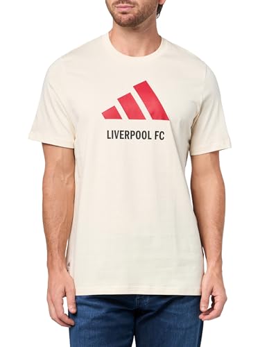 adidas Mens Liverpool FC Seasonal Graphic T-Shirt Wonder White Medium
