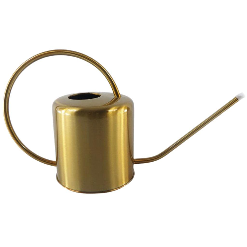 MILAAN Long Spout Watering Can Retro Stainless Steel Cylinder Watering Pot 1500ml Amazon.in