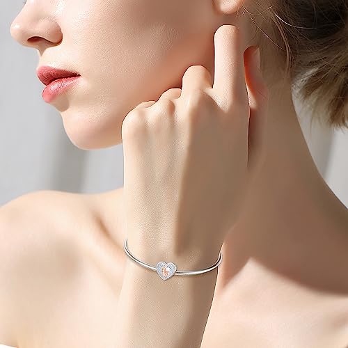 Image of PROESS Father Mother Daughter Charm fit Charms Bracelet Sterling Silver Charms for Bracelets Birthday Valentines Day Gifts for Daughter Mother Lover