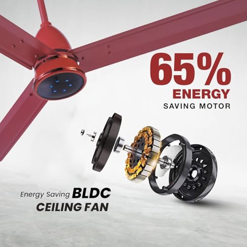 Image of Blueberry's ๐๐๐๐ 1200mm Ceiling Fan with Remote Control, BEE ๐ฑ-๐ฆ๐๐ฎ๐ฟ Rated Energy Efficient Ceiling Fan, High Air Delivery with LED Indicators, 3-Year Warranty (Royal Brown)