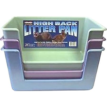 geriatric cat litter box