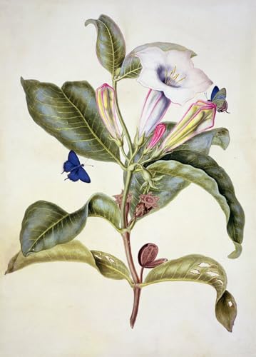 Cuadro de lienzo Famoso Painting de alta definición y 60x90cm para paredes con estilo
