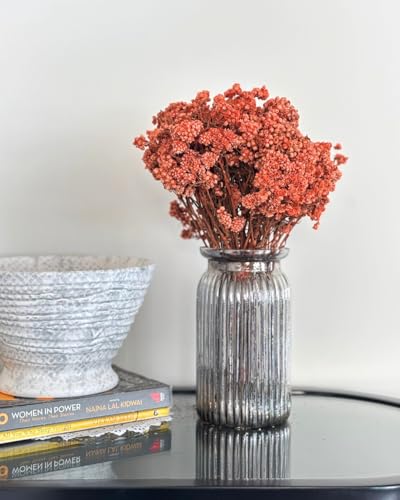 Image of Himalayan Daisy Dried Flowers | Natural Dried Blooms| 70 Grams | Naturally Preserved, Delicate & Everlasting | Perfect for Home Decor, Floral Arrangements, Bouquets & DIY Crafts(Orange)