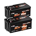Litime 2Pack 36V 100Ah OBM Bluetooth Low-Temp Protection LiFePO4 Battery, Built-in 100A BMS, Deep Cycle Lithium Iron Phosphate Battery Perfect for Trolling Motors, Yachts, Marine, Boats, RV, Home