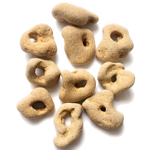 Handpicked Protective Hag Stones - Set of 10 Loose Raw Sea Hagstones with Natural Holes for Stress Relief, Spiritual Healing, and Unique Decorations, medium up to 2