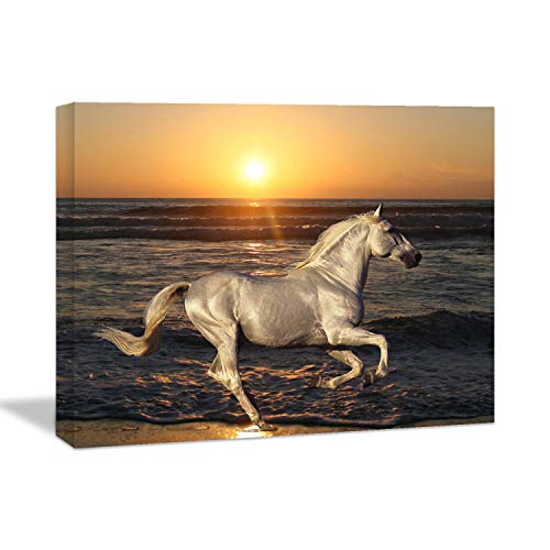 Looife Animals Canvas Wall Art, 16x12 Inch A Horse Running on Beach Under Sunset Picture Prints Wall Decor Stretched on Wooden Frame, Home Deco for Nursery and Bedroom