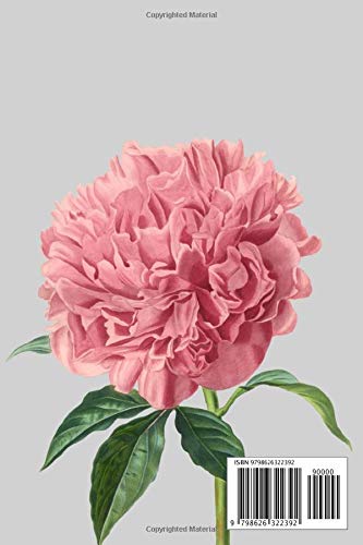 Peony Notebook: Portable lined Peony - Travel Journal to write in - 120 pages - 6"x9" - Image 2