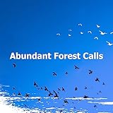 Relaxing Bird Song